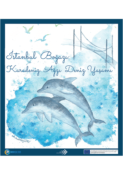 İstanbul Strait Studies