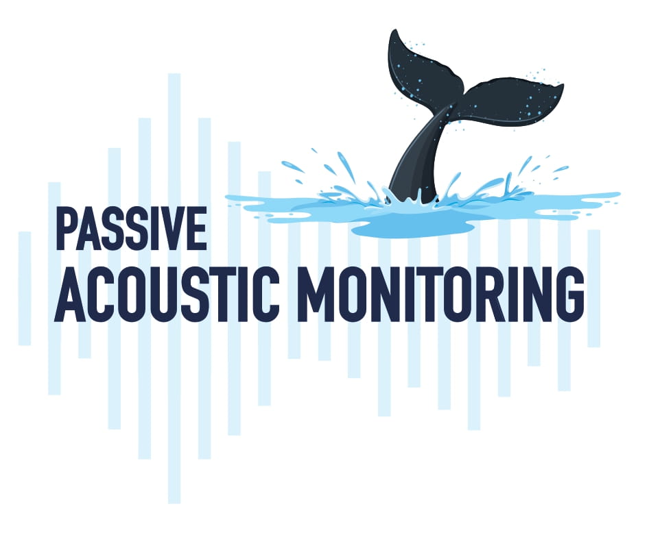 Passive Acoustic Monitoring