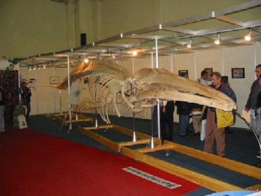 Boat Show 2002