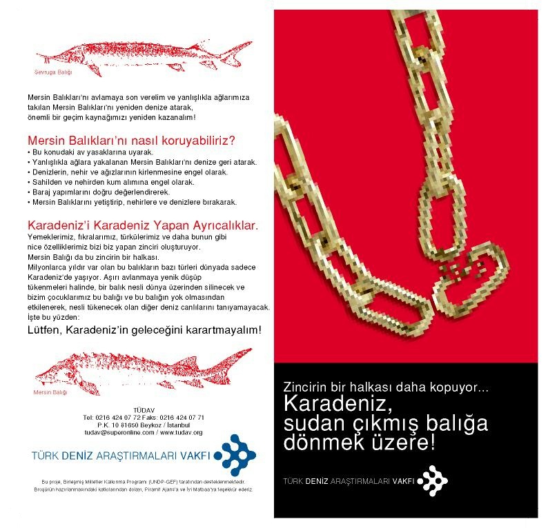 The Project for the Protection of Sturgeons 2004