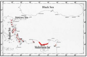 Mediterranean Monk Seal Conservation