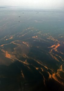 Marmara Denizi’nde Red-Tide