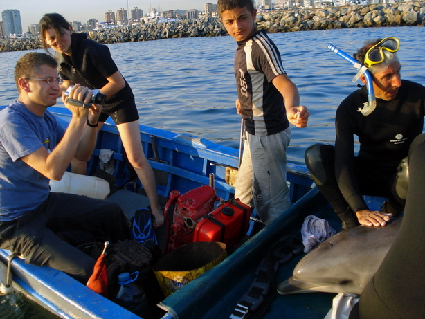 İstanbul’da Yunus Kurtarma Operasyonu 2011