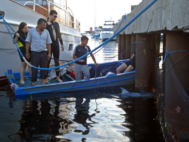 İstanbul’da Yunus Kurtarma Operasyonu 2011
