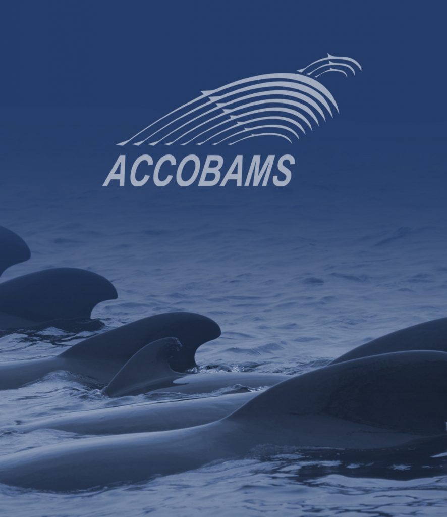 Turkey ratifies ACCOBAMS Agreement! 2017