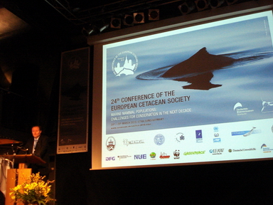 24. European Cetacean Society Conference 2010