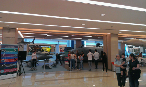 The Marine Wildlife Roadshow again in Turkey! 2013
