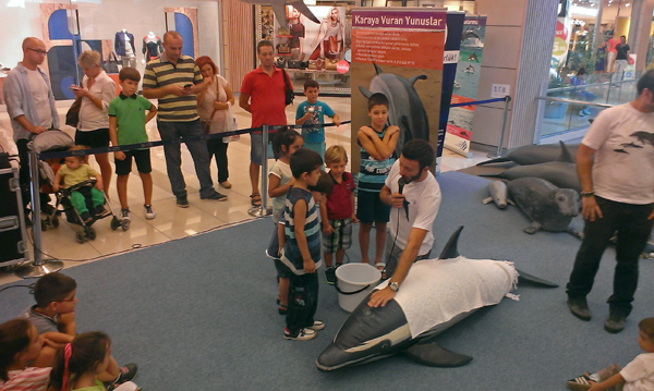 The Marine Wildlife Roadshow again in Turkey! 2013
