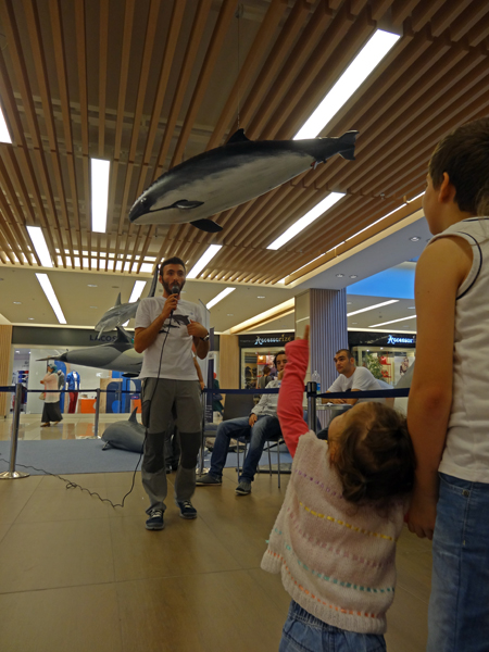 The Marine Wildlife Roadshow again in Turkey! 2013