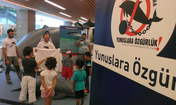 The Marine Wildlife Roadshow again in Turkey! 2013