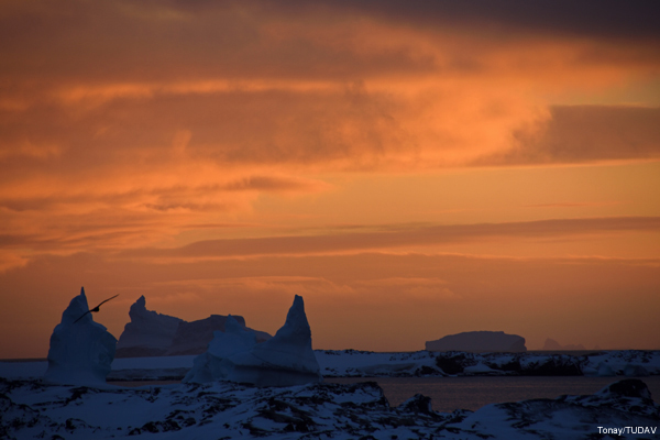 Turkish Scientists Completed Antarctic Research Expedition 2016