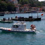 Palamutlar Nerede? Projesi Basın Bülteni
