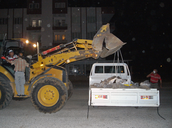 Akdeniz Foku Ölümü Hakkında Ayrıntılı Rapor 2013