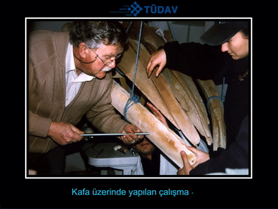 Bir balinanın hikayesi 2000