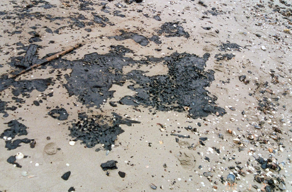Oil Pollution