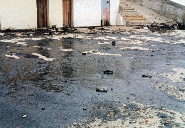 Oil Pollution