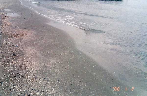 Oil Pollution