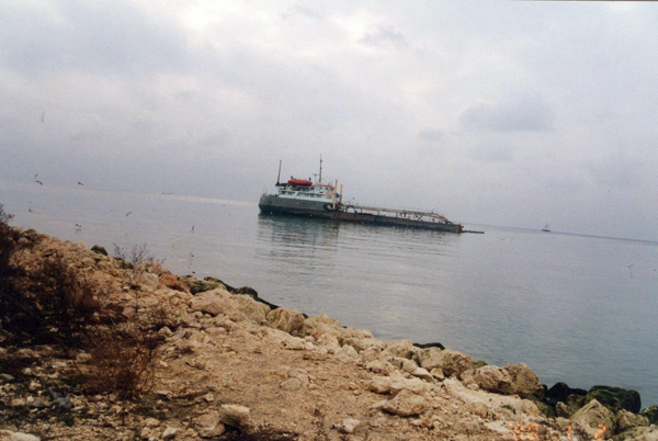 Petrol Kirliliği