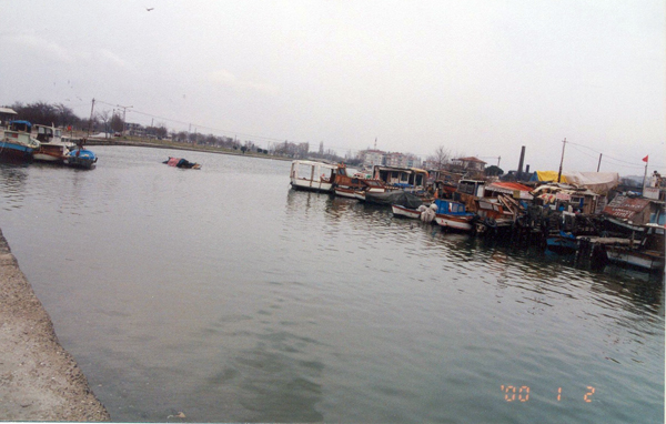 Oil Pollution