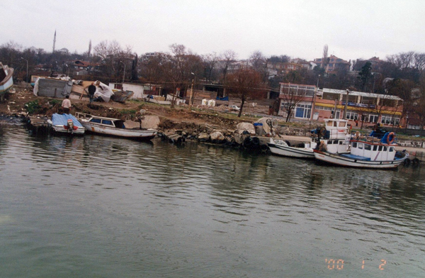 Oil Pollution
