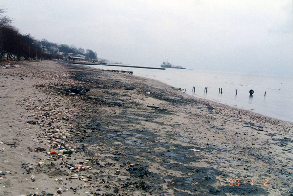Oil Pollution