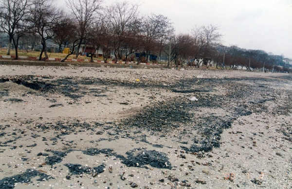 Oil Pollution