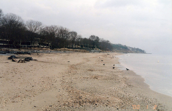 Oil Pollution