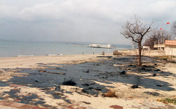 Oil Pollution