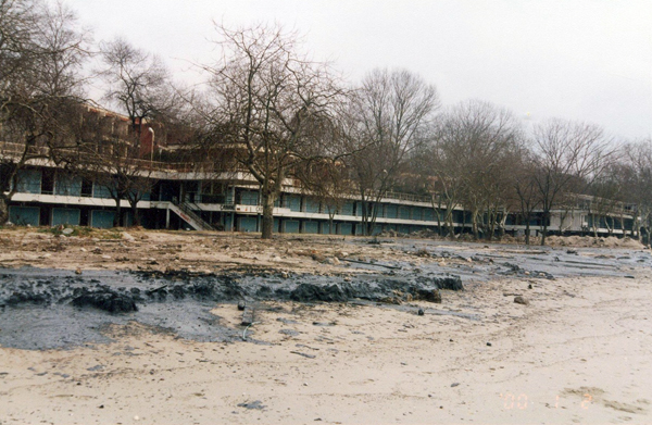 Oil Pollution