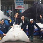Press Release – Sharks, Rays, Skates Should Be Protected