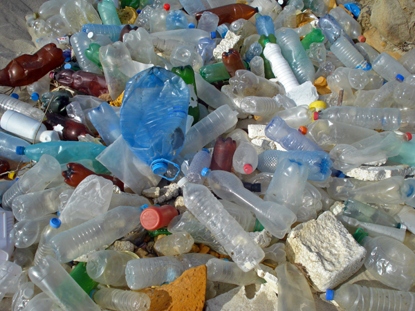 A Major Danger: Plastic Waste!