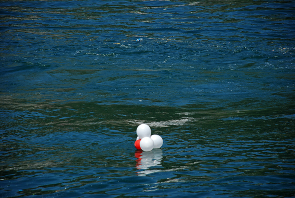 A Major Danger: Plastic Waste!