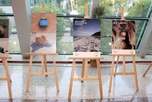 BSEC Photography Exhibition
