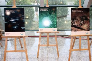 BSEC Photography Exhibition