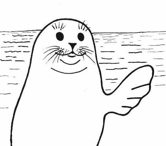 Mediterranean Monk Seal Tombik