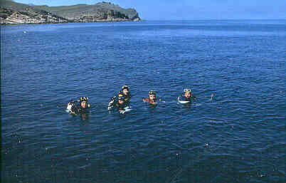 Turkish Aphrodite Project (Supported by RAC/SPA and ICRAM) 2002