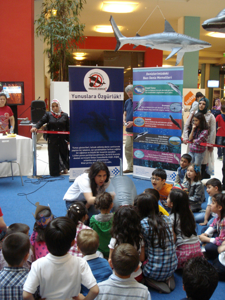 The Marine Wildlife Roadshow again in Turkey! 2013