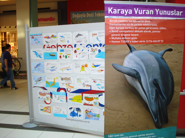 The Marine Wildlife Roadshow again in Turkey! 2013
