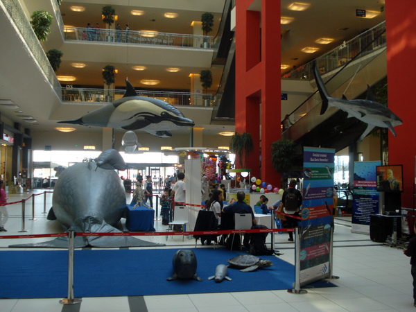 The Marine Wildlife Roadshow again in Turkey! 2013