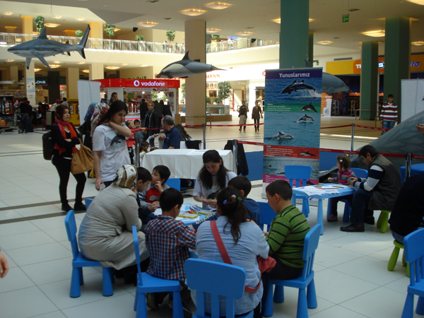 The Marine Wildlife Roadshow again in Turkey! 2013