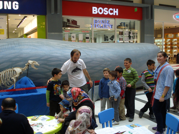 The Marine Wildlife Roadshow again in Turkey! 2013