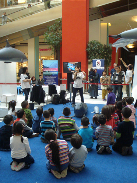 The Marine Wildlife Roadshow again in Turkey! 2013