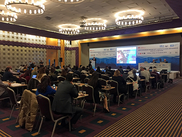 Uluslararası Basın Bildirisi – Akdeniz’in Önemli Yaşam Alanları ve Yabancı Türler Sempozyumu