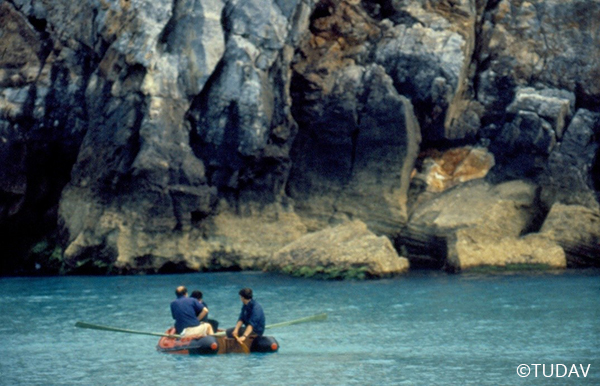 Mediterranean Monk Seal Conservation