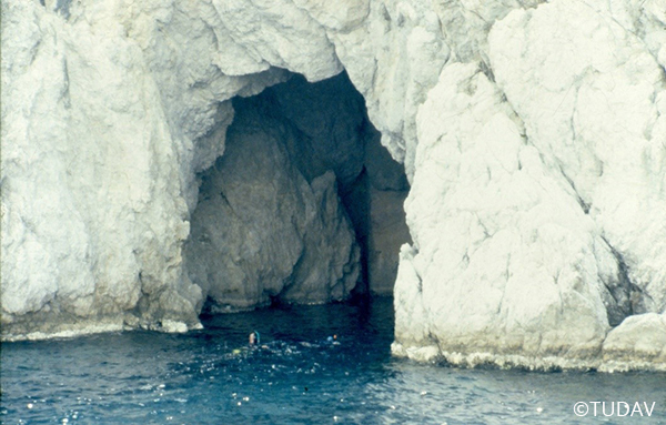 Mediterranean Monk Seal Conservation