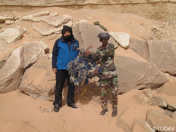 Mediterranean Monk Seal Conservation