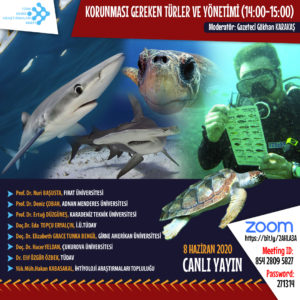 8 June World Oceans Day 2020