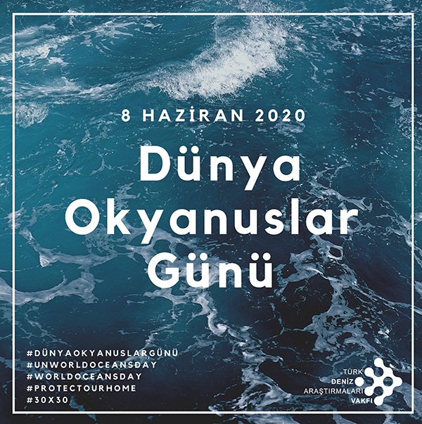 8 Haziran 2020 Dünya Okyanuslar Günü