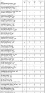 Cartilaginous Fish Research and Conservation Programme in Turkey by TUDAV