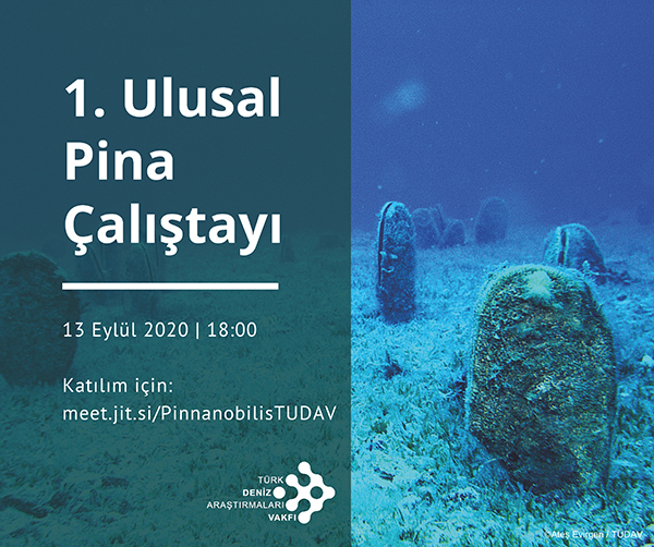 Basın Bülteni – 1. Ulusal Pina Çalıştayı